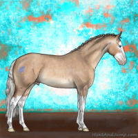 Horse Color:Gray Silver Sable Champagne Roan Dun Splash Rabicano 