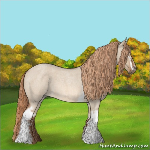 Horse Color:White Spotted Red Dun Roan 