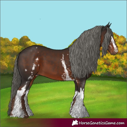 Horse Color:White Spotted Liver Chestnut Mushroom 