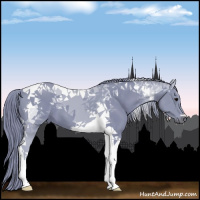 Horse Color:Watercolor Black Tobiano 