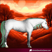 Horse Color:Gray Painted Black