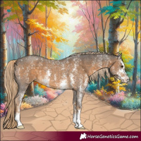 Horse Color:Chocolate Palomino Sabino 