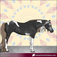 Horse Color:Gray Liver Chestnut Tobiano