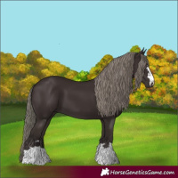 Horse Color:Liver Chestnut Mushroom 