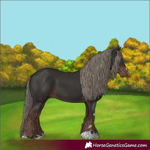 Horse Color:Liver Chestnut Mushroom