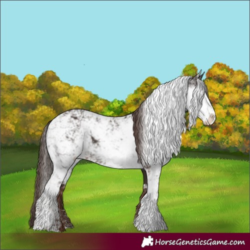 Horse Color:Liver Chestnut Sabino 