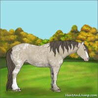 Horse Color:Classic Cream Champagne Ice 