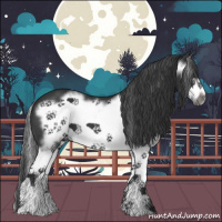 Horse Color:Black Splash Frame