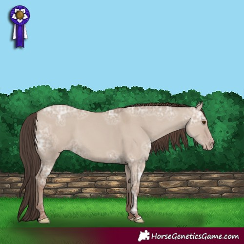 Horse Color:Classic Champagne Ice Dun 