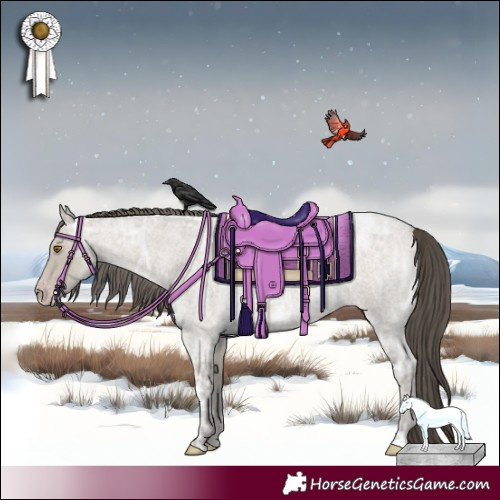 Horse Color:Classic Cream Champagne Ice Roan 