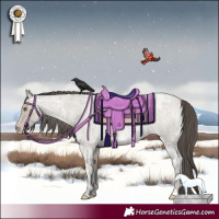 Horse Color:Classic Cream Champagne Ice Roan 