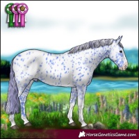 Horse Color:Watercolor Smoky Black Ice Splash Tobiano Appaloosa 