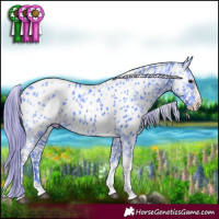 Horse Color:Watercolor Smoky Black Ice Splash Tobiano Appaloosa 