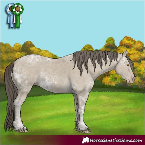 Horse Color:Classic Cream Champagne Ice 