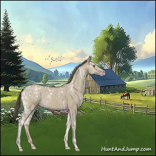 Horse Color:Classic Cream Champagne Ice 