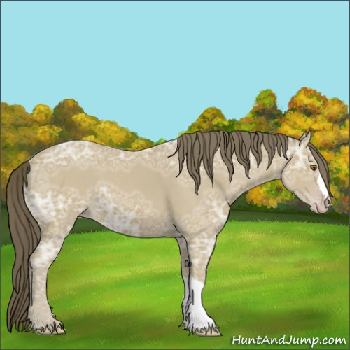 Horse Color:Classic Cream Champagne Ice 