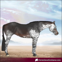 Horse Color:Brown Splash Tobiano Rabicano