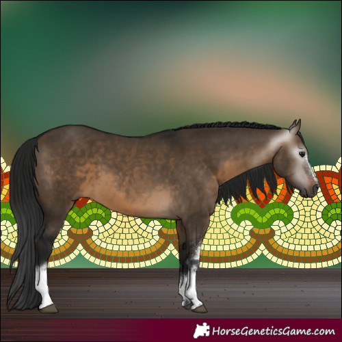 Horse Color:Gray White Spotted Brown Dun 