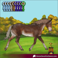 Horse Color:Liver Chestnut Tobiano Rabicano 