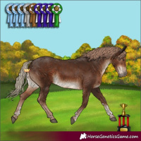 Horse Color:Liver Chestnut Tobiano Rabicano 