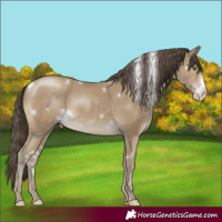 Horse Color:White Spotted Classic Cream Champagne Sabino Rabicano 