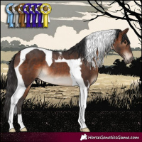Horse Color:Brown Tobiano Rabicano