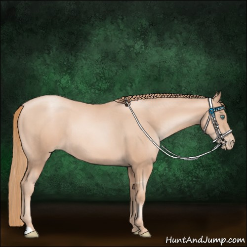 Horse Color:Gold Champagne Pearl Rabicano