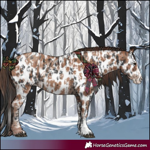 Horse Color:Black Sabino Splash Near Leopard  and Classic Champagne Sabino Splash Near Leopard 