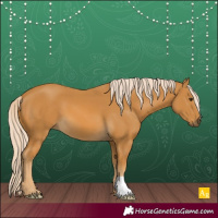Horse Color:Palomino