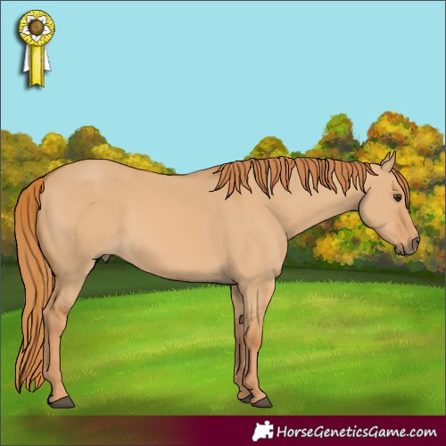 Horse Color:Red Dun 