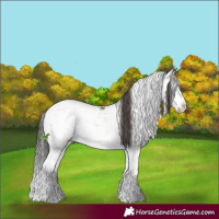 Horse Color:Brown Ice Onyx Sabino Splash