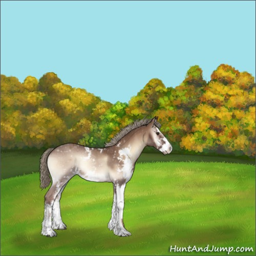 Horse Color:Red Onyx Mushroom Sabino 