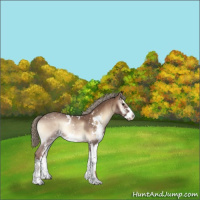 Horse Color:Red Onyx Mushroom Sabino 
