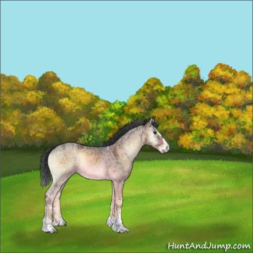 Horse Color:Liver Red Onyx Ice Sabino Splash