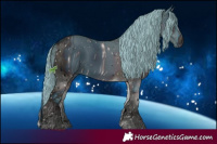 Horse Color:ERROR: UNKNOWN ANOMALY