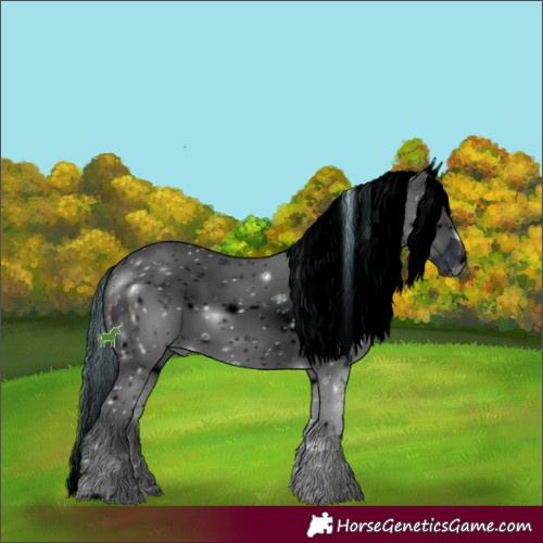 Horse Color:ERROR: UNKNOWN ANOMALY