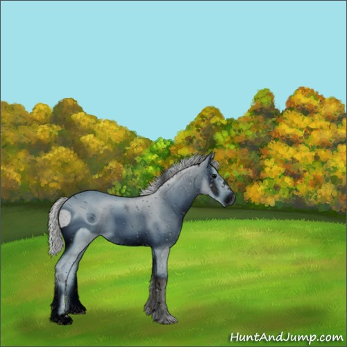 Horse Color:ERROR: UNKNOWN ANOMALY
