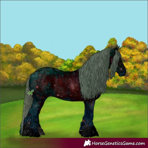Horse Color:ERROR: UNKNOWN ANOMALY
