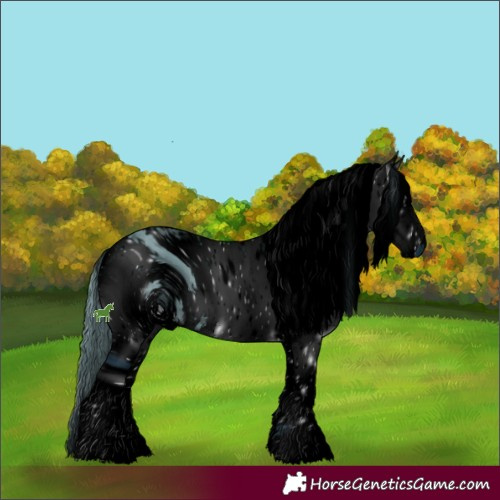 Horse Color:ERROR: UNKNOWN ANOMALY