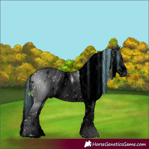 Horse Color:ERROR: UNKNOWN ANOMALY