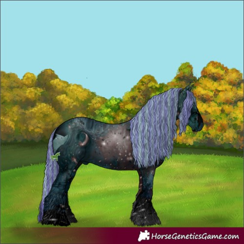Horse Color:ERROR: UNKNOWN ANOMALY