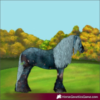 Horse Color:ERROR: UNKNOWN ANOMALY