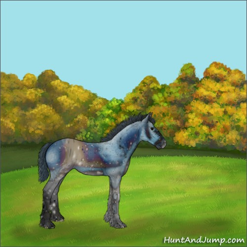 Horse Color:ERROR: UNKNOWN ANOMALY