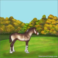 Horse Color:Chocolate Brown Onyx Sabino 
