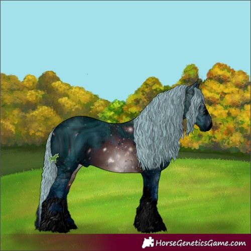 Horse Color:ERROR: UNKNOWN ANOMALY