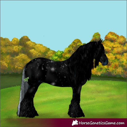 Horse Color:ERROR: UNKNOWN ANOMALY