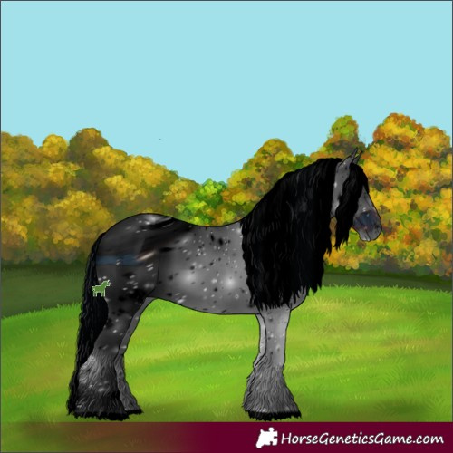 Horse Color:ERROR: UNKNOWN ANOMALY