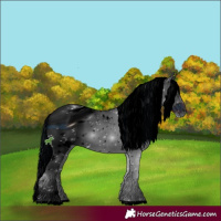 Horse Color:ERROR: UNKNOWN ANOMALY