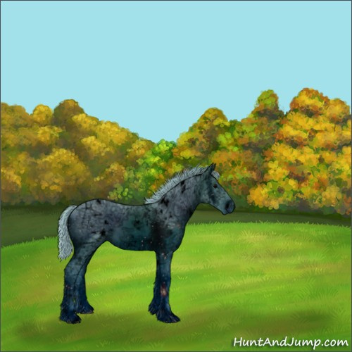 Horse Color:ERROR: UNKNOWN ANOMALY