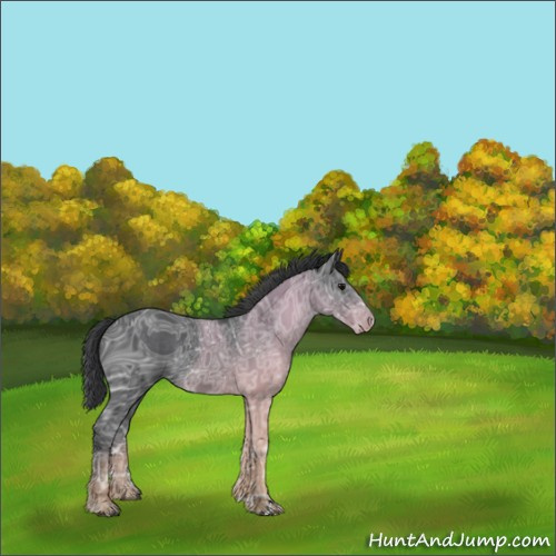 Horse Color:ERROR: UNKNOWN ANOMALY